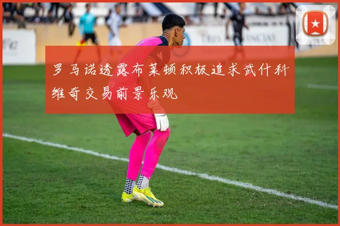 罗马诺透露布莱顿积极追求武什科维奇交易前景乐观