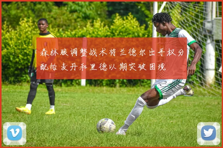 森林狼调整战术将兰德尔出手权分配给麦丹和里德以期突破困境